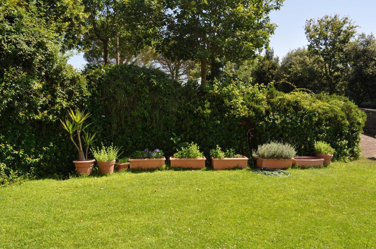 Casale Vicino Al Golf Nazionale Bed & Breakfast Monterosi Bagian luar foto