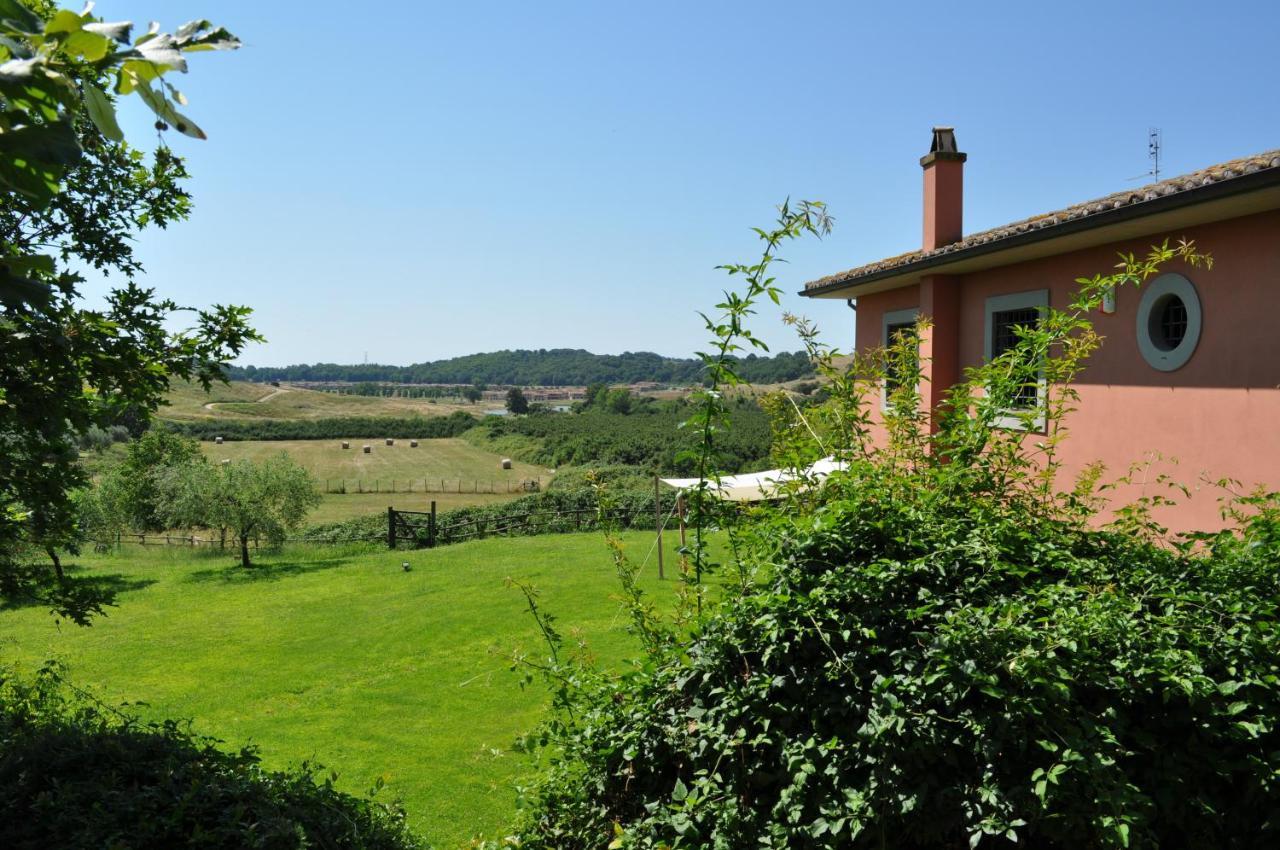 Casale Vicino Al Golf Nazionale Bed & Breakfast Monterosi Bagian luar foto