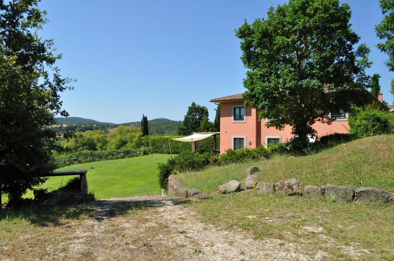 Casale Vicino Al Golf Nazionale Bed & Breakfast Monterosi Bagian luar foto